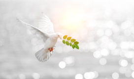 shutterstock_452287282 shutterstock_452287282