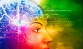 WhatsApp Image 2022-10-28 at 13.56.20 WhatsApp Image 2022-10-28 at 13.56.20